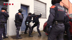 Cae un grupo criminal que cultivaba marihuana en naves industriales de Catalunya