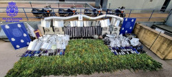 Cinco detenidos y 1.520 plantas de marihuana intervenidas en la mayor incautaci&oacute;n de Cantabria