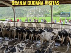 El comunista Garz&oacute;n y presunto ministro se agarra a las Macrogranjas como una ladilla  Por Pedro  Arce 