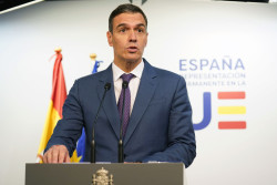 EL MARAVILLOSO PENSIL DE PEDRO S&Aacute;NCHEZ  Por Juan Goti Orde&ntilde;ana  Catedr&aacute;tico jubilado de la Universidad de Valladolid