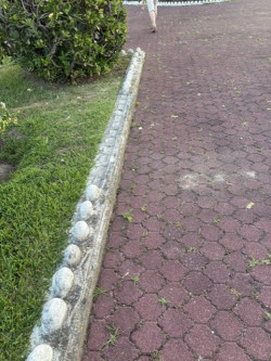 El misterio de la Plaza de Col&oacute;n y la desaparici&oacute;n de los cantos rodados de sus jardines?.   Por Carlos Magdalena