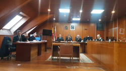 El relato y las secuelas de la chica que denunci&oacute; a su t&iacute;o son compatibles con abusos, seg&uacute;n peritos
