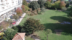 IU de Laredo convoca una concentraci&oacute;n el 8 de noviembre contra la eliminaci&oacute;n de 88 &aacute;rboles