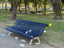 Llega el verano al Parque Mesones.    Carlos Magdalena