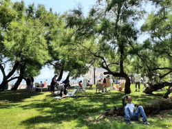 Lleg&oacute; el verano a Santander con el todo gratis, y los okupas de Mesones.     Carlos Magdalena
