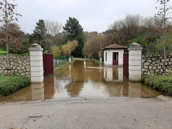 Los accesos del Real club de gol de PEDRE&Ntilde;A inundados