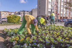 Publicada la lista definitiva de 62 admitidos para optar a tres plazas de operario de Jardiner&iacute;a del SERCA