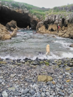 Rastrean con resultado negativo El Pedregal de Castro, en busca de una persona por un perro que ladraba hacia el agua