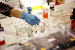 Un experto advierte de que la UE se est&aacute; quedando "atr&aacute;s" en investigaci&oacute;n cl&iacute;nica