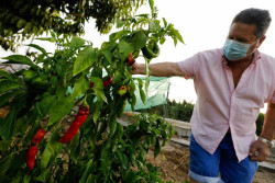 Unos 664.000 agricultores y ganaderos recibir&aacute;n 3.350 millones del anticipo de las ayudas directas de la PAC