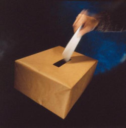 Voto &uacute;til o in&uacute;til